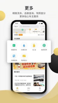 开车app，开车app有疼痛声音下载