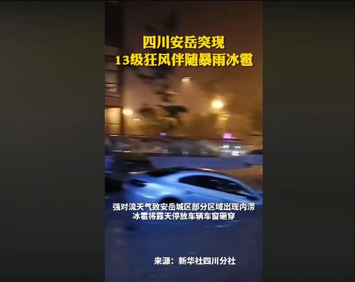 现在新闻，现在新闻联播主持人有哪些