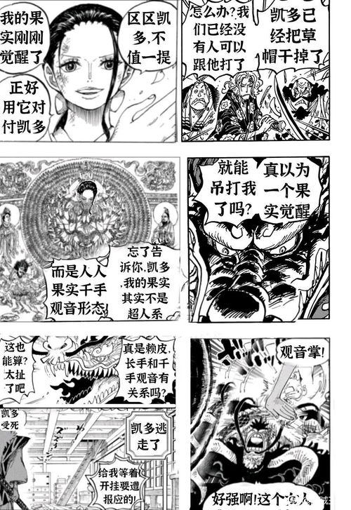 人人果实幻兽种，人人果实幻兽种尼卡形态