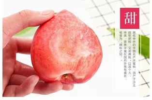 看蜜桃
