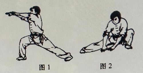 金刚铁掌功，金刚铁掌功小说