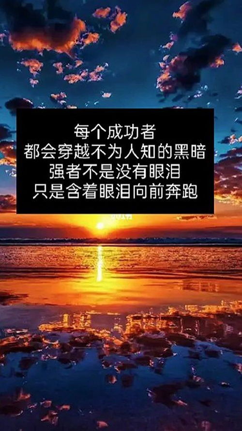 前进之路玩什么阵容?