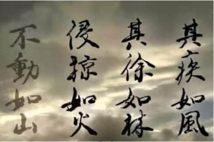 其疾如风、其徐如林。 是什么意思.? `!