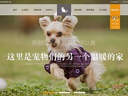 贵阳宠物之家免费领养吗