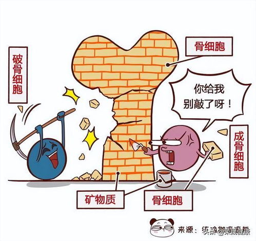 补钙能促进长高吗，补钙能促进长高吗男生
