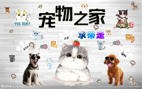 宠物之家，宠物之家宠物网