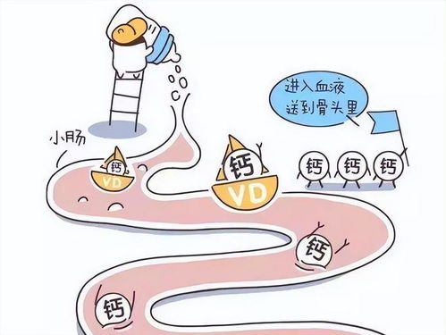 补钙就能长高吗蚂蚁庄园