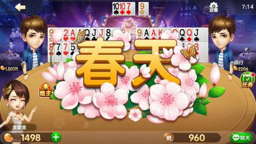 有谁知道斗地主中的春天和反春是什么意思