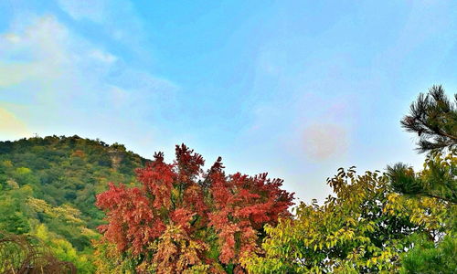 招摇山在哪里