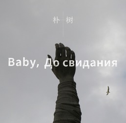 СВ，СВД