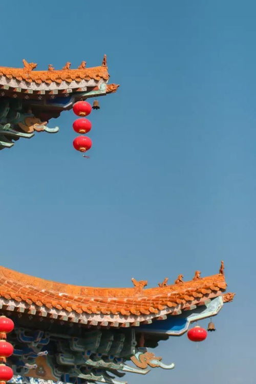 兽脊，兽脊的拼音