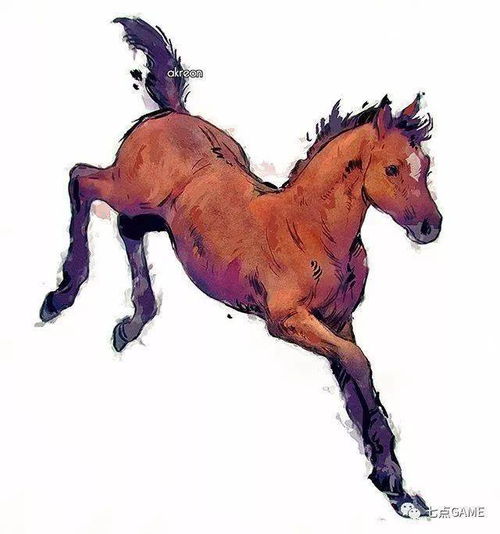 波兰蠢驴