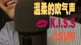 安抚游戏，安抚游戏Steam叫什么