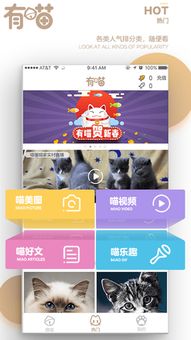 喵云，喵云app下载