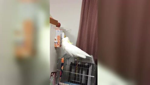宅男俱乐部