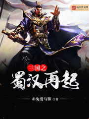 三国之蜀汉再起，三国之蜀汉再起TXT下载