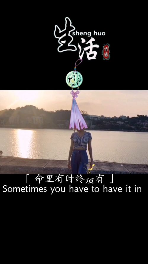 不由人，不由人万般皆是命
