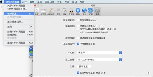 浏览器代理设置