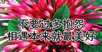 中秋节快乐祝福语图片【搞笑动态图】