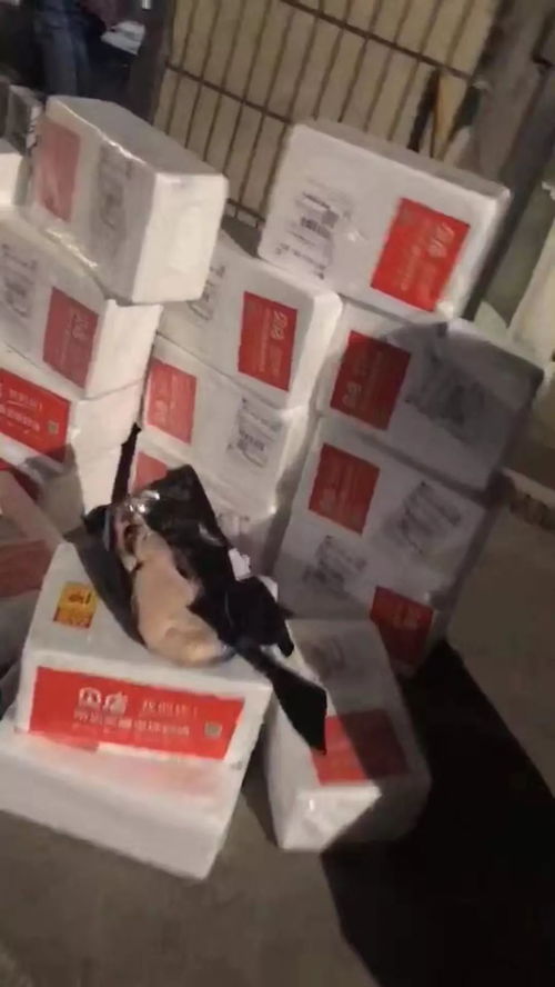 贝仓里面卖的都是正品吗?