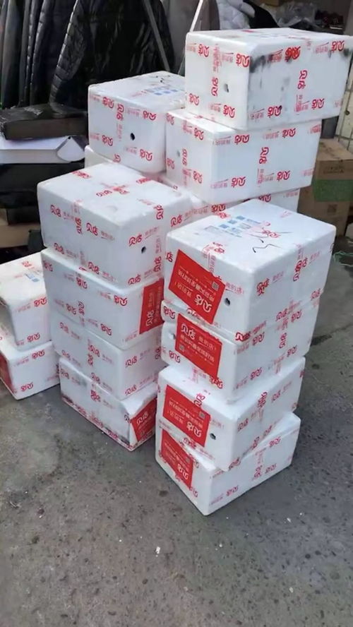 贝仓，贝仓科技
