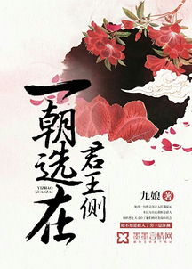 一朝选在君王侧，一朝选在君王侧,上一句