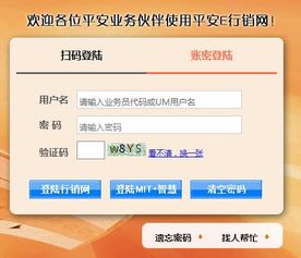 平安e行销网登录官网是什么?