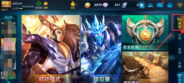 王者荣耀怎么拉黑陌生人，王者荣耀怎么拉黑陌生人不让访问