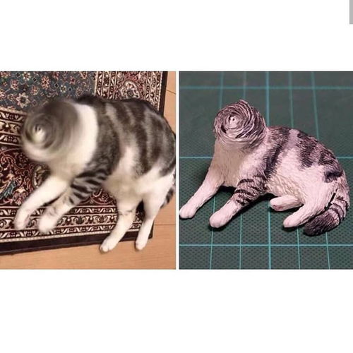 口罩猫，口罩猫表情包