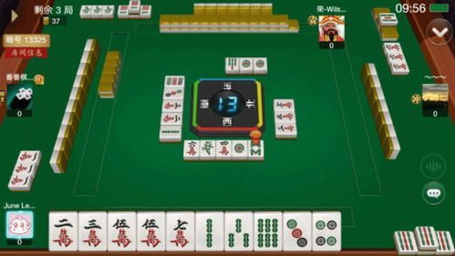捉鸡麻将，捉鸡麻将贵阳下载