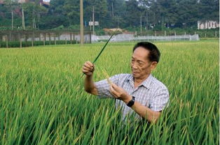 袁隆平的世界