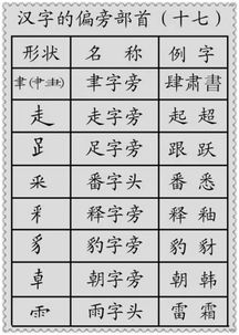 荡的部首是什么