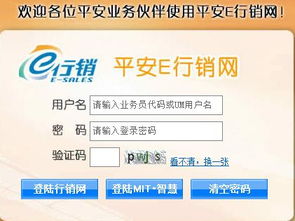 平安e行销网登录官网，平安e行销网登录官网行销网