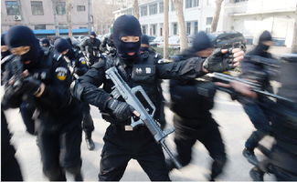 特训,特训学校