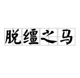 脱缰野马是什么意思?出处是哪?