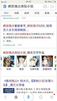 疯狂独占,疯狂独占简介