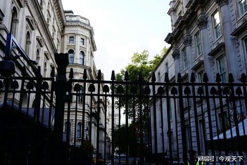 No 10 Downing Street是什么意思