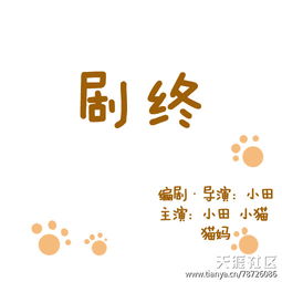 关于女主穿越到魔法世界的小说