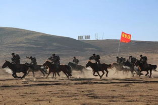 骑兵区