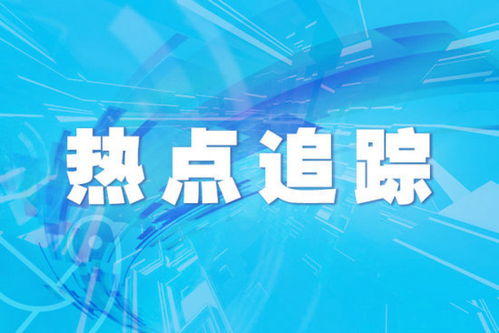 网三为什么人多