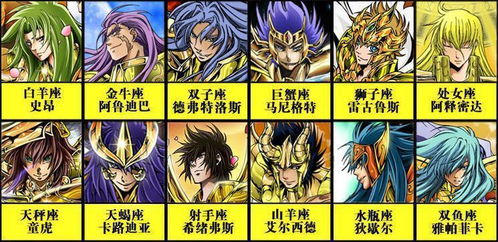 圣斗士之巅峰人类，圣斗士之巅峰人类免费阅读