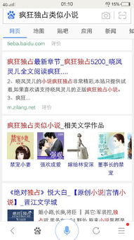 《疯狂独占》txt下载在线阅读全文,求百度网盘云资源