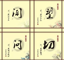 望闻问切是什么意思
