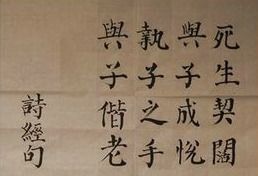 与子成说什么意思,执子之手与子成说什么意思