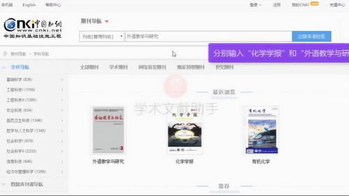 查看的意思