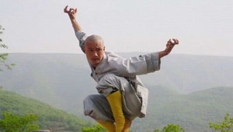 西域少林,西域少林和金刚门