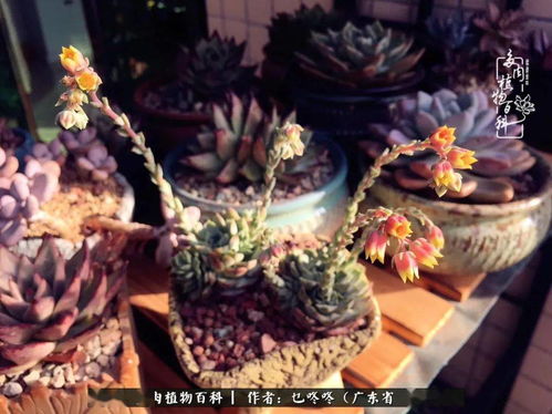 人太容易幻得幻失,是因为敏感还是脆弱?