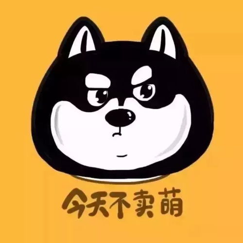 心动模式，心动模式网易云是啥意思