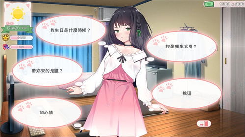 猫研社有几个结局