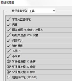 条文是什么意思?，章节条目是什么意思